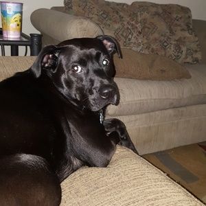 Meet your Posher, Tori